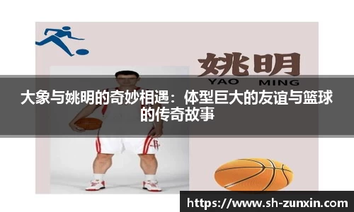 k1体育官网