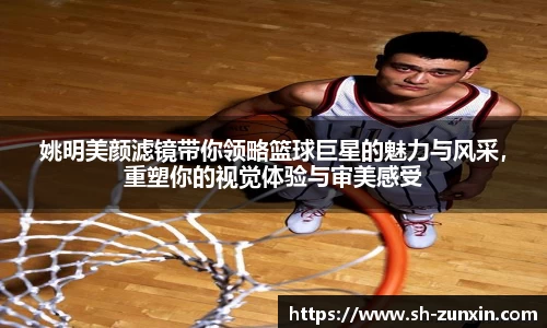 姚明美颜滤镜带你领略篮球巨星的魅力与风采，重塑你的视觉体验与审美感受
