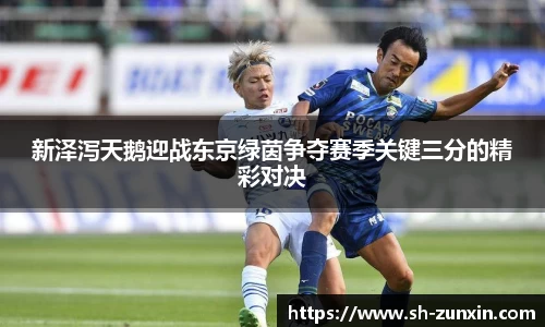新泽泻天鹅迎战东京绿茵争夺赛季关键三分的精彩对决